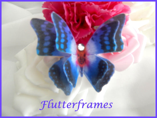 Pretty Blue and pink silk butterfly