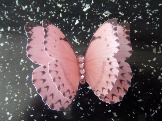 pretty silk butterfly