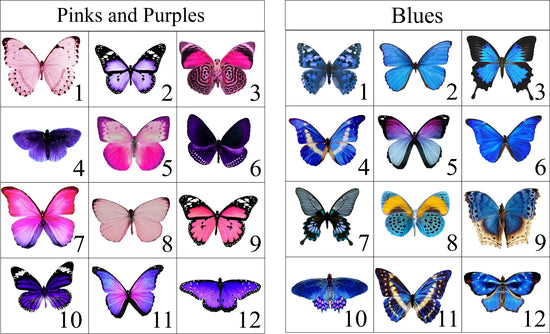 natural butterfly chart