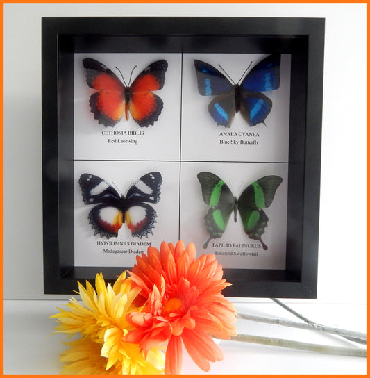 Realistic,artificial butterflies