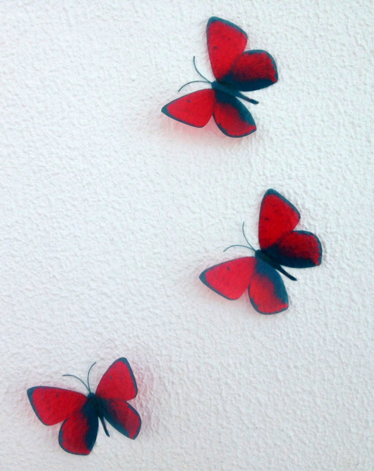 Red reproduction butterflies decor. The red butterfly British butterfly Wall Art Flying Removable Butterflies Home Decorations Wall Art