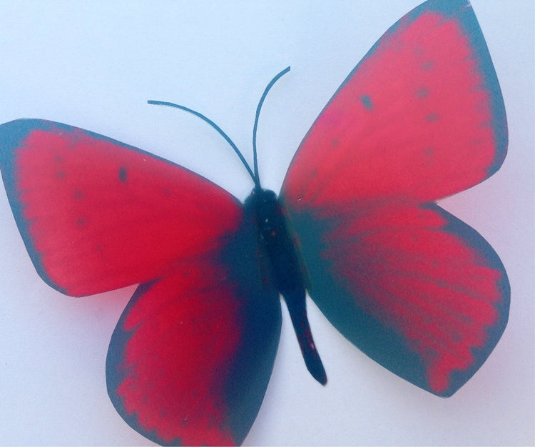 Red reproduction butterflies decor. The red butterfly British butterfly Wall Art Flying Removable Butterflies Home Decorations Wall Art